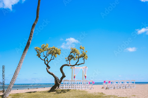 wedding at Waialae Beach Park, Kahala, Honolulu,Oahu, Hawaii photo