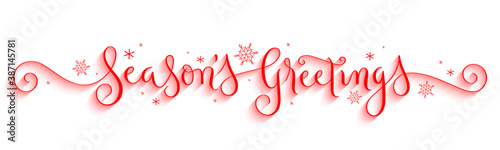 SEASON'S GREETINGS red vector brush calligraphy banner with spirals and snowflakes