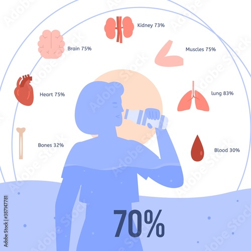 Medical banner displaying the effects of drinking water on the health of internal organs, flat vector illustration. The benefits of drinking water for human health.