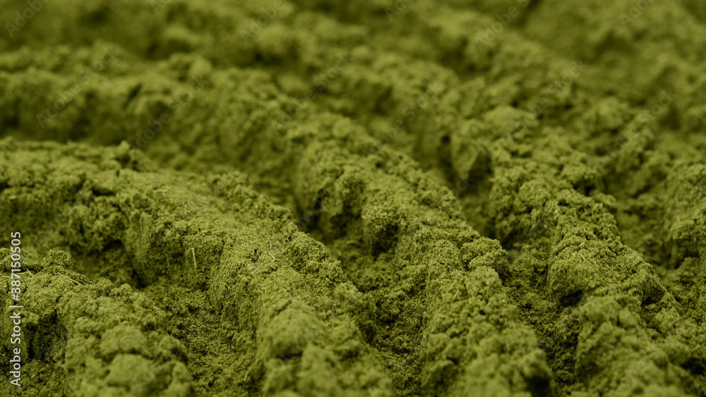 Obraz premium superfoods moringa or spirulina powder