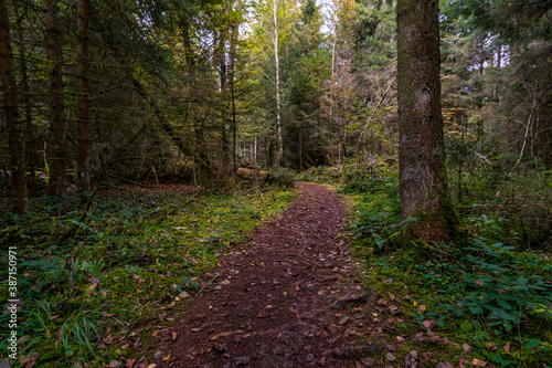 Fantastic hike in the Schrecksee nature reserve in Upper Swabia photo