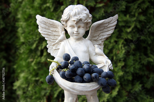 Statuette of boy with angel wings holds juicy ripe blue grapes on blurred green background.