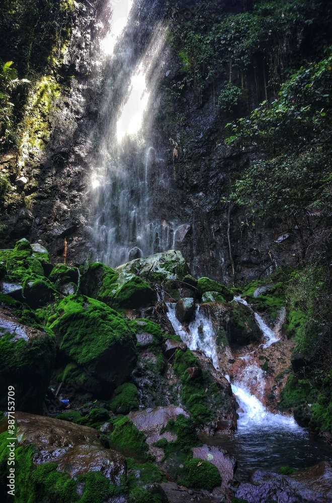 Obraz premium Flowing Waters in Waterfall