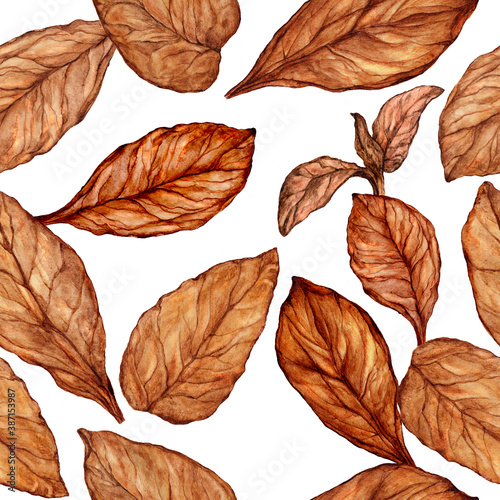 Seamless pattern of hand drawn tobacco leaves photo
