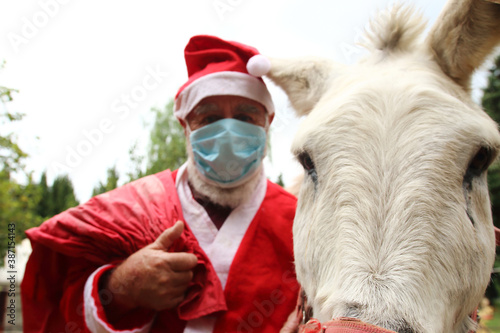 Donkey and mask wearing Santa Claus