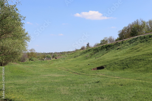 Green field in clear weather in summer