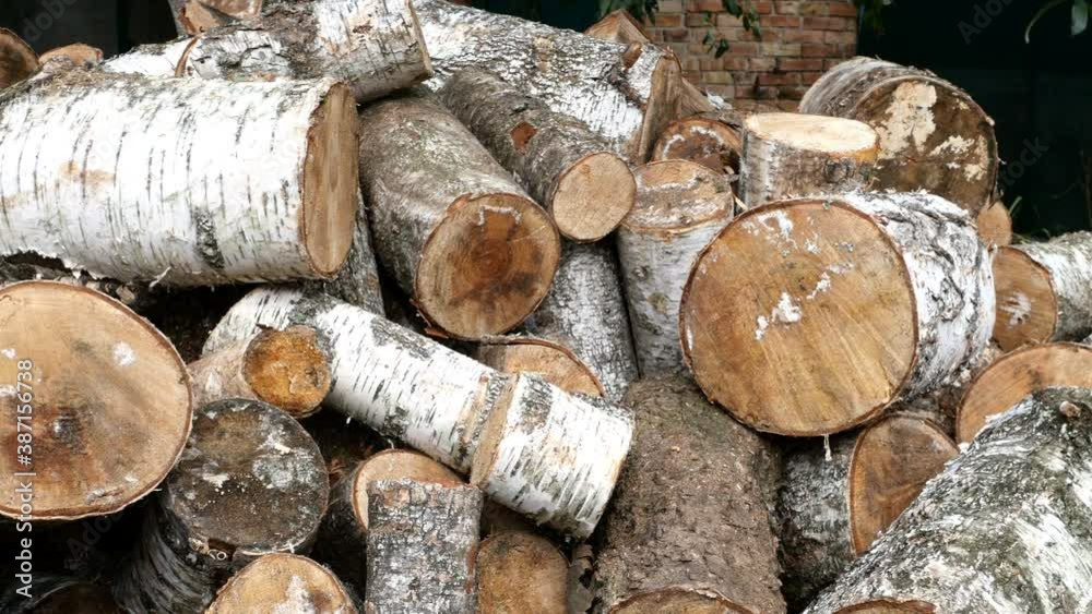 Pile of cut birch logs of different cross-sections are piled up on backyard or warehouse as preparation for heating season to heat home. Left to right moving. Close-up. Pile of cut birch logs of different cross-sections are piled up on backyard or warehouse as preparation for heating season to heat home. Left to right moving. Close-up.
