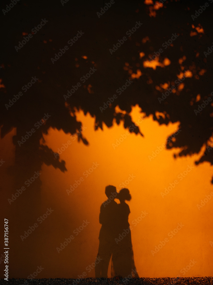 wedding silhouette