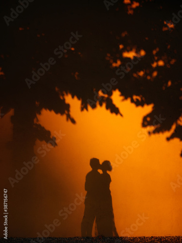 wedding silhouette