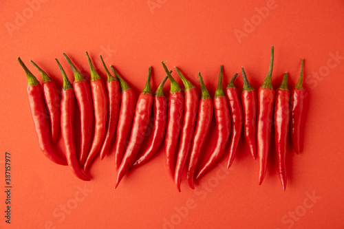 spicy red chili pepper on red background