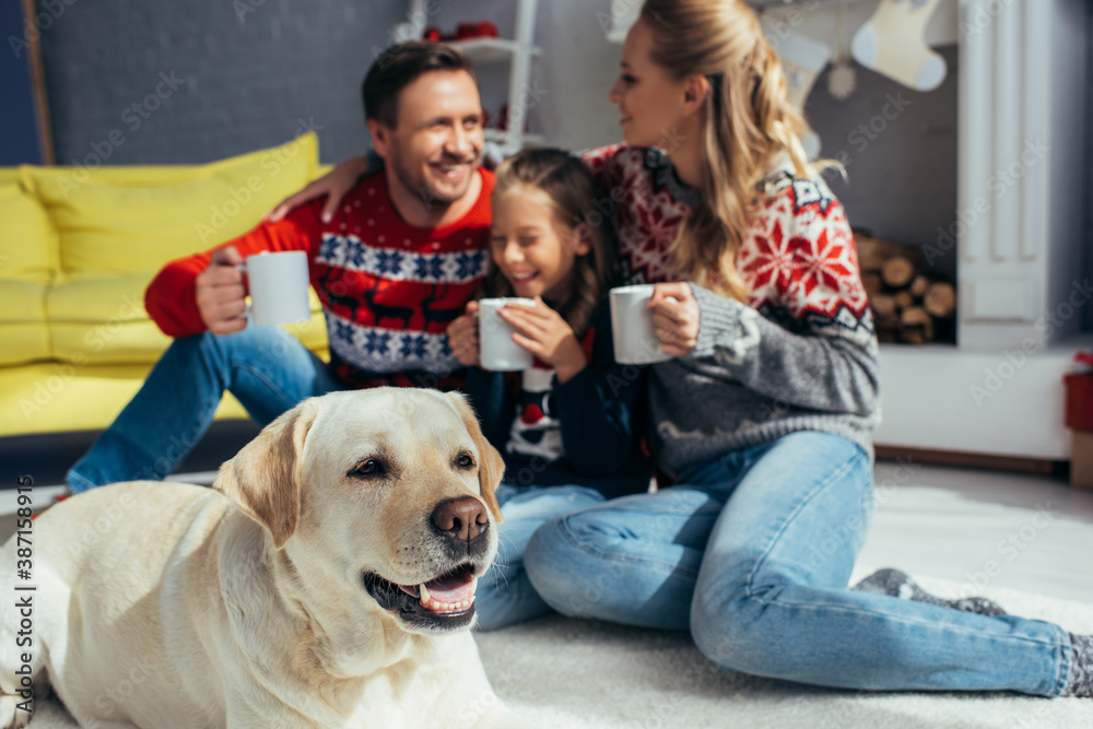 dog near happy family holding cups on blurred background dog near happy family holding cups on blurred background