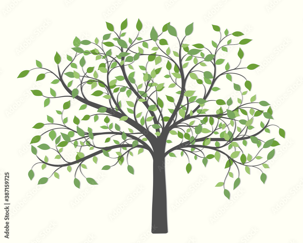 Tree with green leaves of different colors and sizes Tree with green leaves of different colors and sizes