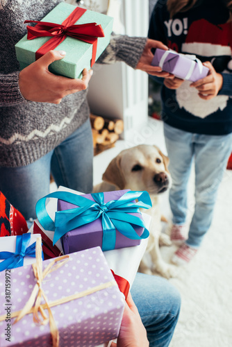cropped view of parents holding gifts near daughter and dog on christmas