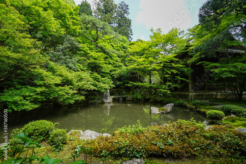 初夏の蓮華寺の風景