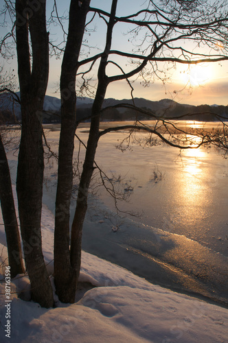 朝陽に輝く © Paylessimages