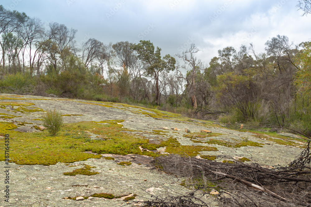 Granite Rock Outcrop east of Pingelly, Western Australia