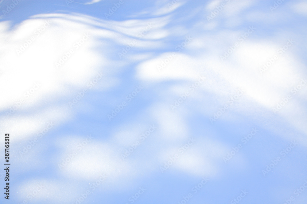 雪原の影 雪原の影