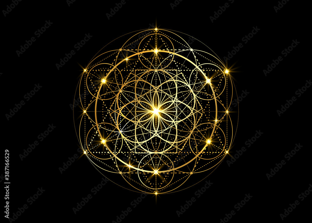 Seed of life symbol Sacred Geometry. Geometric mystic mandala of