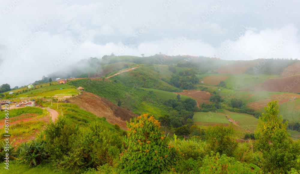 Obraz premium Mountain road at phu tubberk