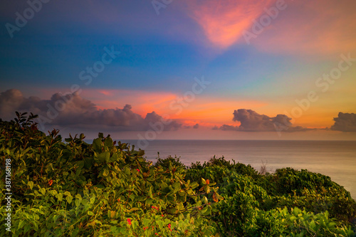 Amazing landscape during sunset time. Spectacular view from Uluwatu cliff in Bali. Pink and blue sky. Foreground with green lush plants. Nature background. Soft focus. Slow shutter speed.