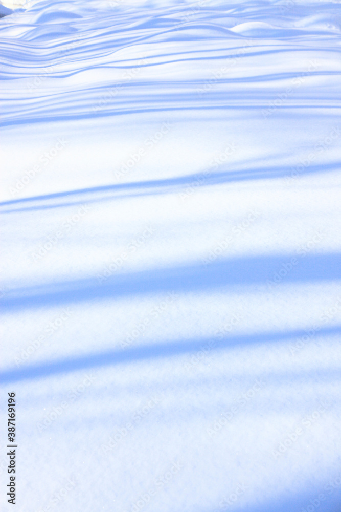 雪原の影 雪原の影