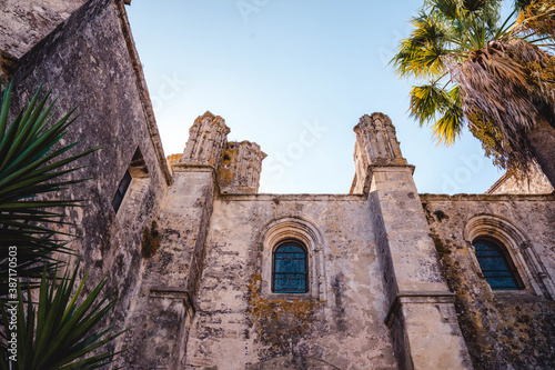 Iglesia con palmeras