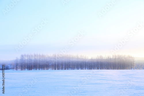 雪原の日の出 © Paylessimages