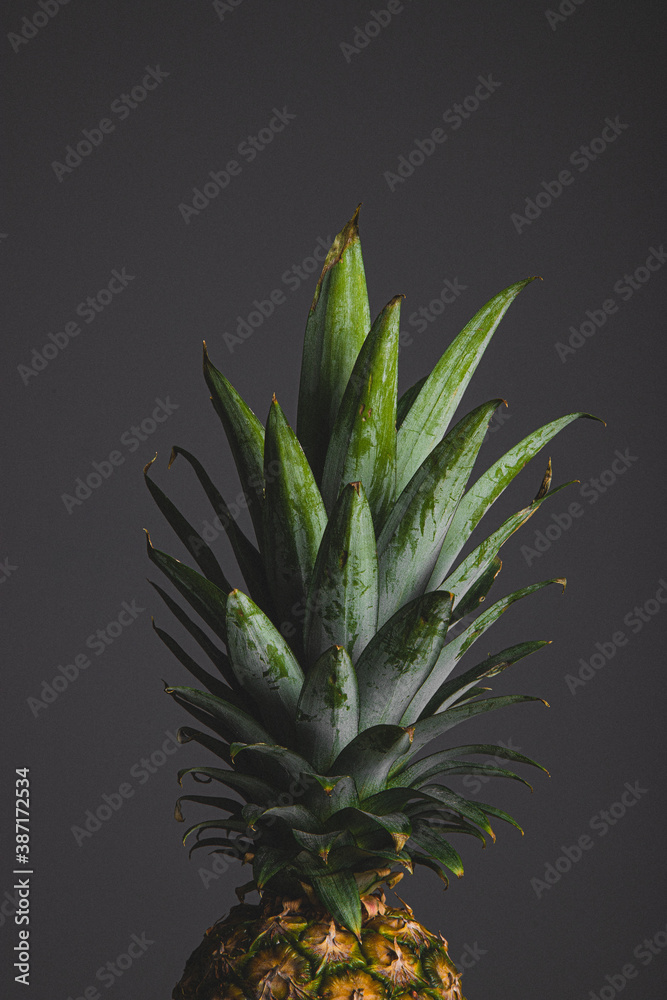 Fototapeta premium pineapple on black