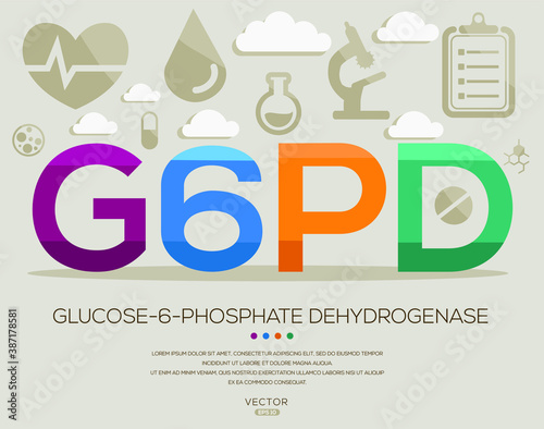 G6PD mean (glucose-6-phosphate dehydrogenase) medical acronyms ,letters and icons ,Vector illustration.
