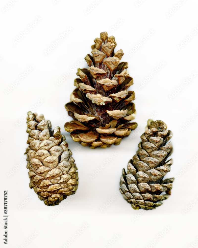 three cones on a plain white background three cones on a plain white background