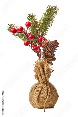 christmes branch red berry cone composition isolated on white photo