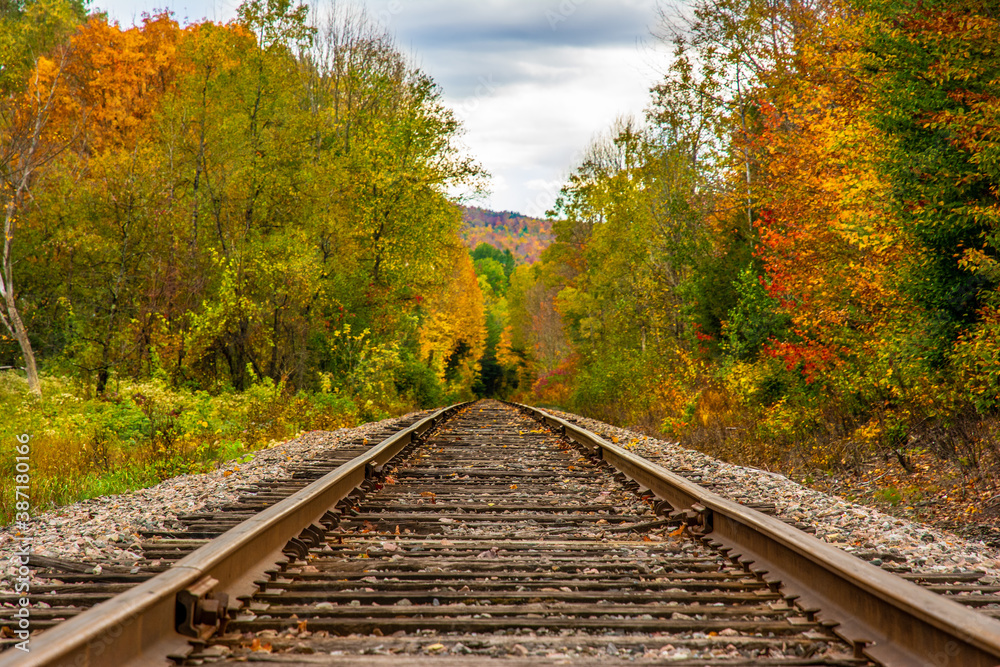 railroad in autumn