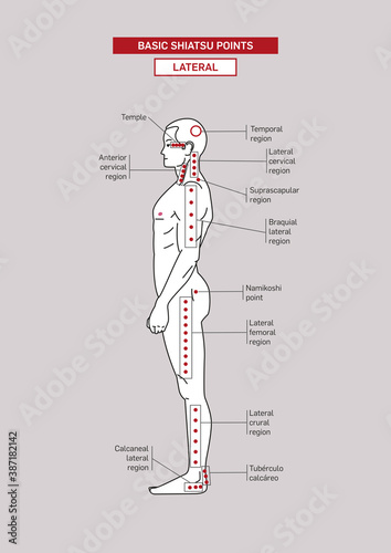 Basic Shiatsu Points Lateral