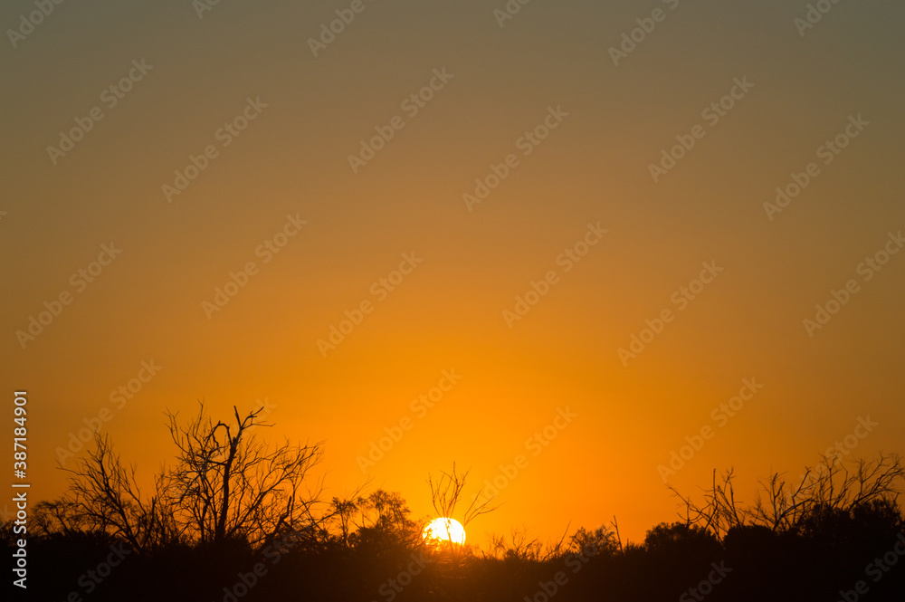 Amanecer Amanecer
