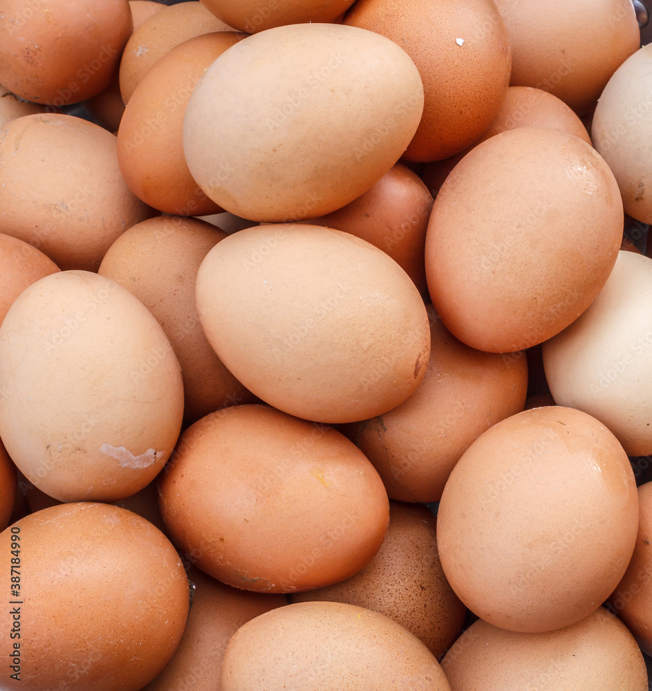 Fresh eggs in a nest photos near closeup Fresh eggs in a nest photos near closeup