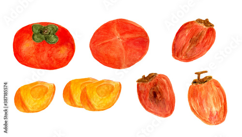 水彩で描いた柿と干し柿