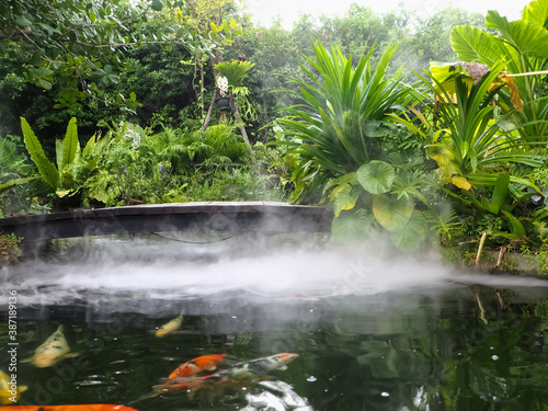 A koi pond in a fertile park with white mist