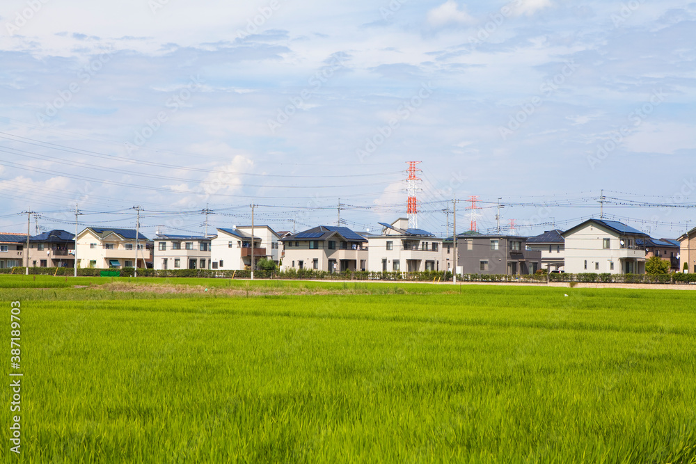 Fototapeta premium ソーラーパネルの付いた住宅地