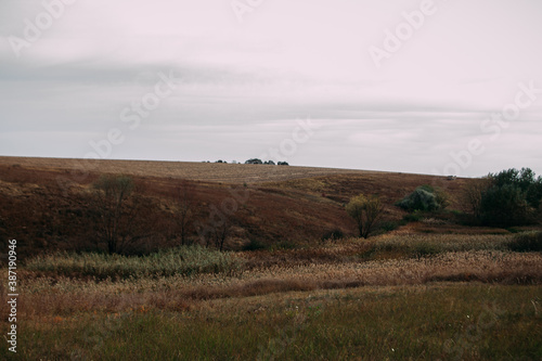autumn landscape field