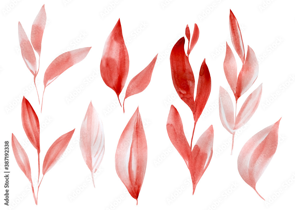 Set of vintage leaves on white background, watercolor illustration, floral design