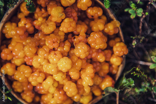 Cloudberries  photo