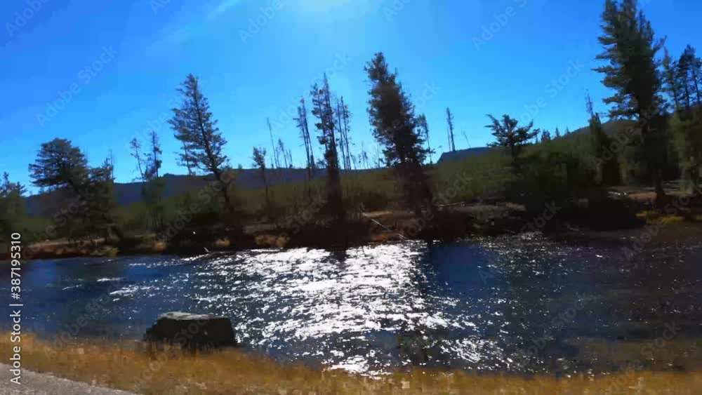 Passing along clear blue river in pine forest-Drive Plate-POV Passing along clear blue river in pine forest-Drive Plate-POV