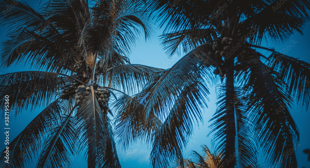 Fototapeta premium Cidade histórica, Porto Seguro, Bahia