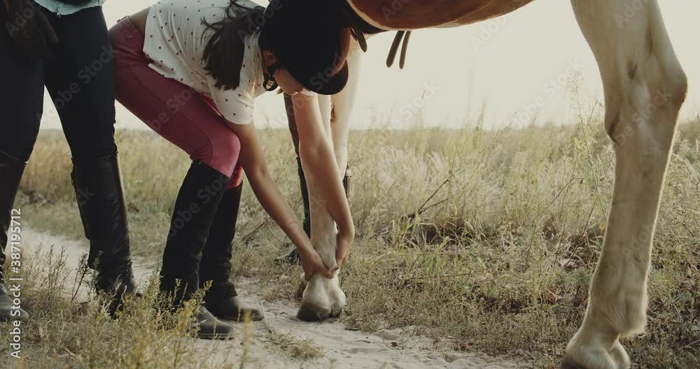Horse riding lessons for teens at the field, hot summer air, dry grass