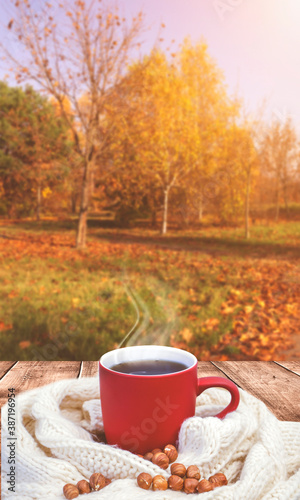 Autumn background, hot cup of tea. Red cup in female hands on the background of the autumn landscape, autumn city. Sunlight, wooden table.