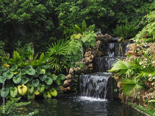 Fototapeta Naklejka Na Ścianę i Meble -  A waterfall in a stream in a fertile rainforest
