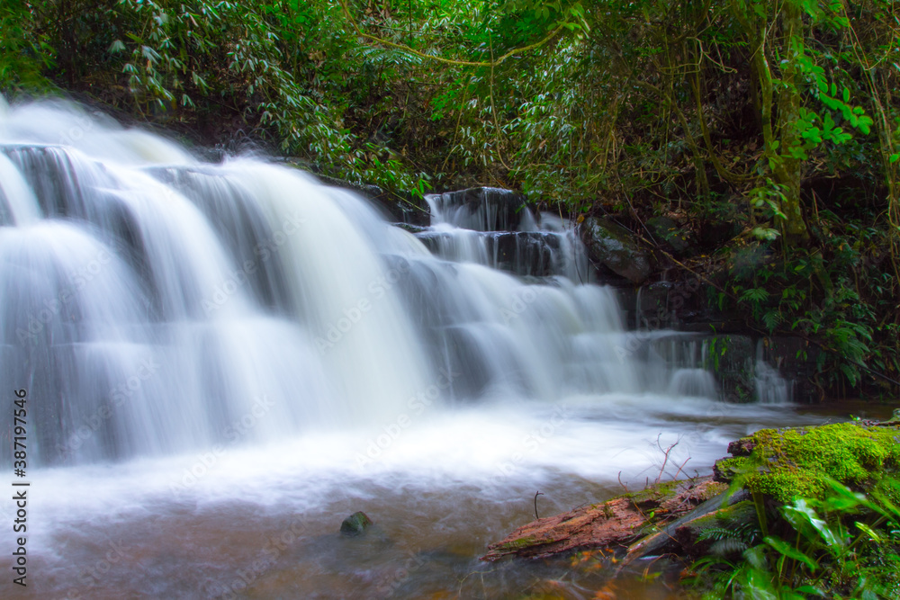 Obraz premium waterfall in the forest