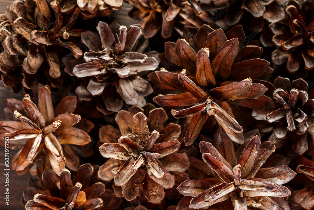 Obraz premium Pine cones on wooden background.Rustic natural wooden background with pine cones