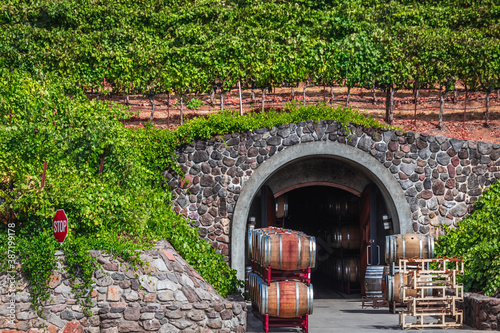 USA Sonoma winery photo