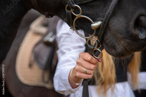 A woman's hand holds the bridle of a horse.